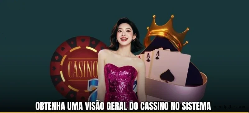 A Importância da Categoria 'Reclamações' no Linseedpg: Um Espaço para Diálogo e Melhoria